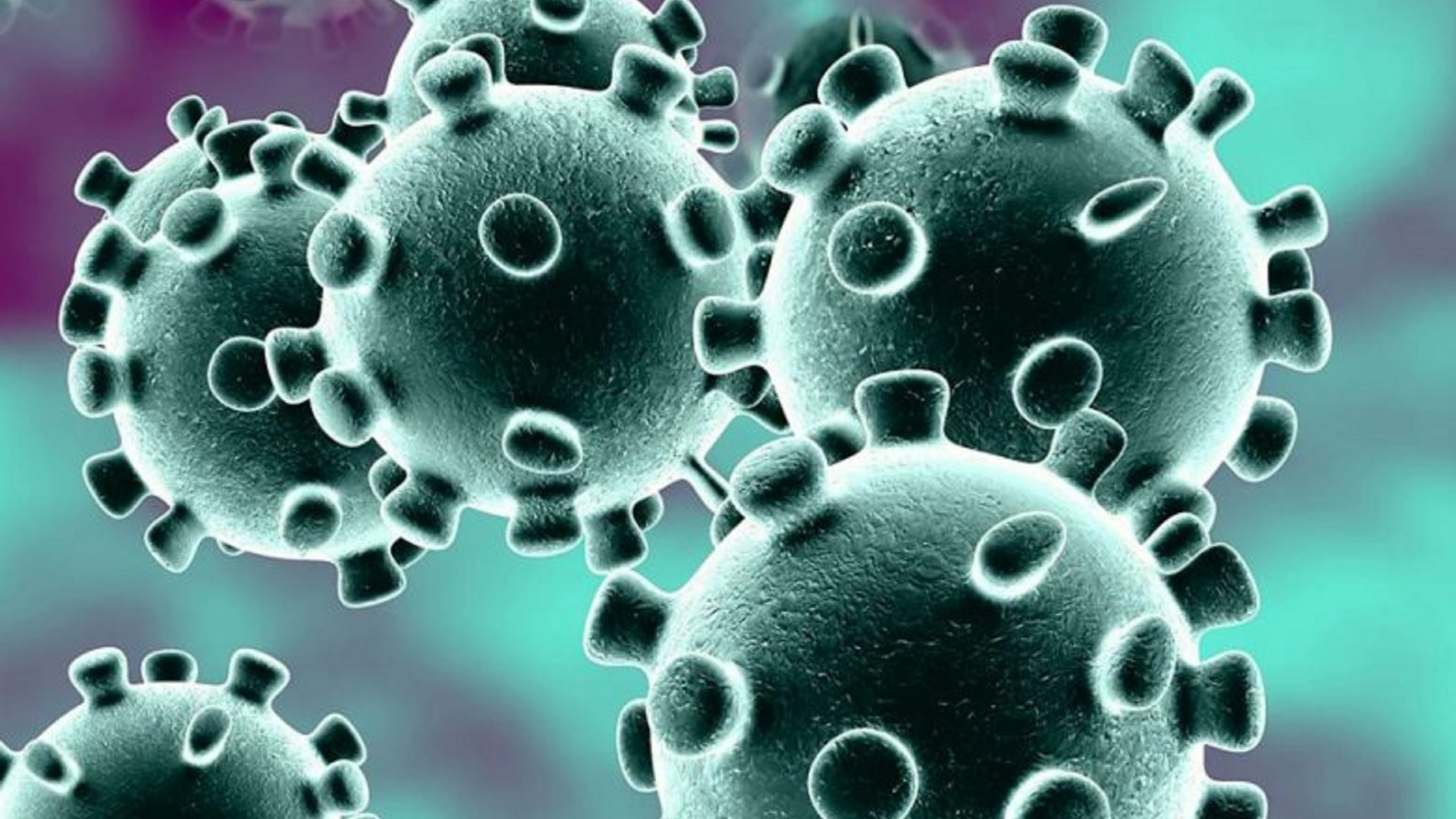 Coronavirus - What Do I Need To Know?
